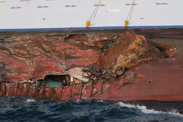 Costa Concordia Eyewitness Accounts Gare Maritime